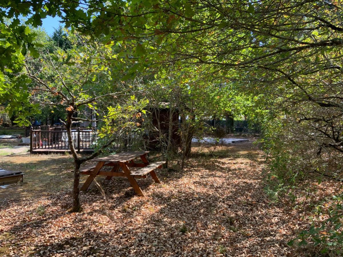 Domaine De Labelo Bed & Breakfast Commensacq Екстериор снимка