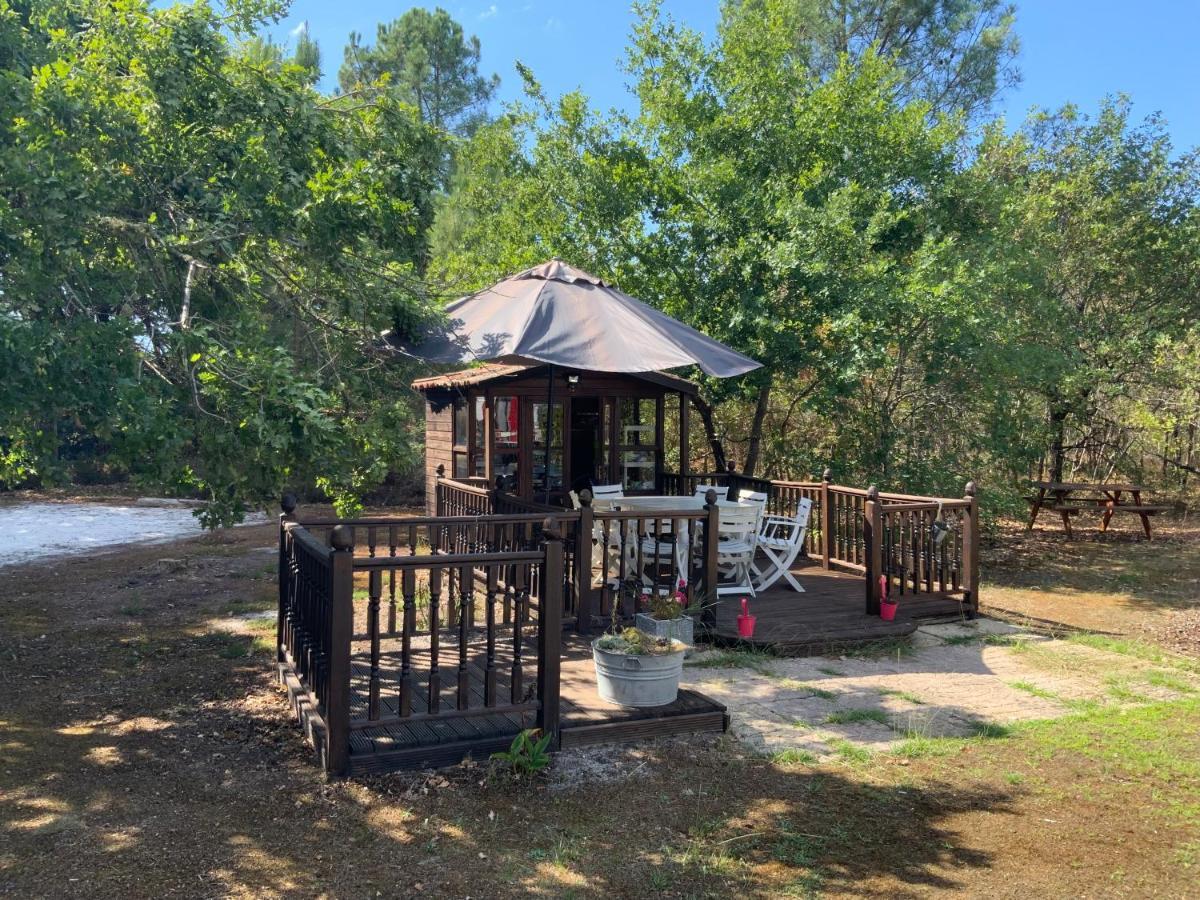 Domaine De Labelo Bed & Breakfast Commensacq Екстериор снимка